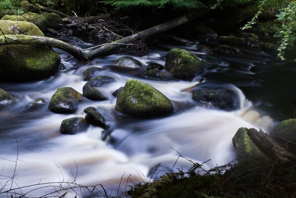 A mossy rock in a Scottish stream